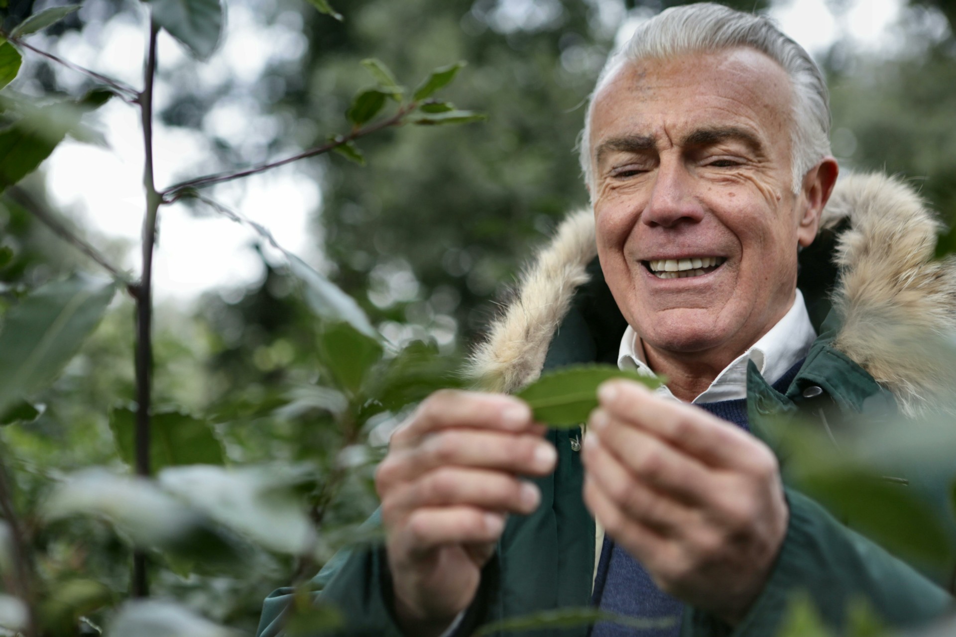 The Role of Nature in Healthy Aging: The Benefits of Spending Time Outdoors