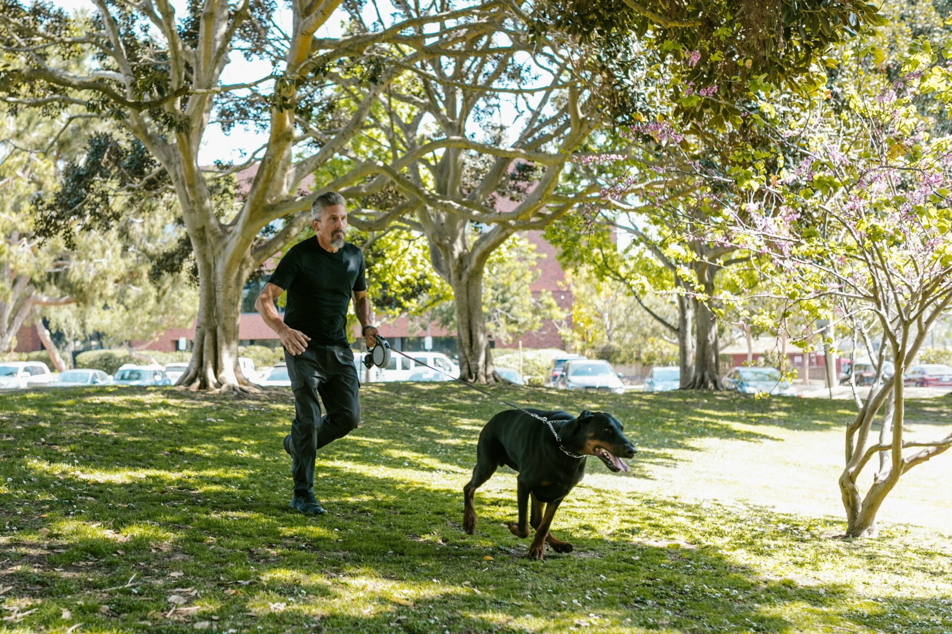 How Pets Can Improve Health and Happiness After 50
