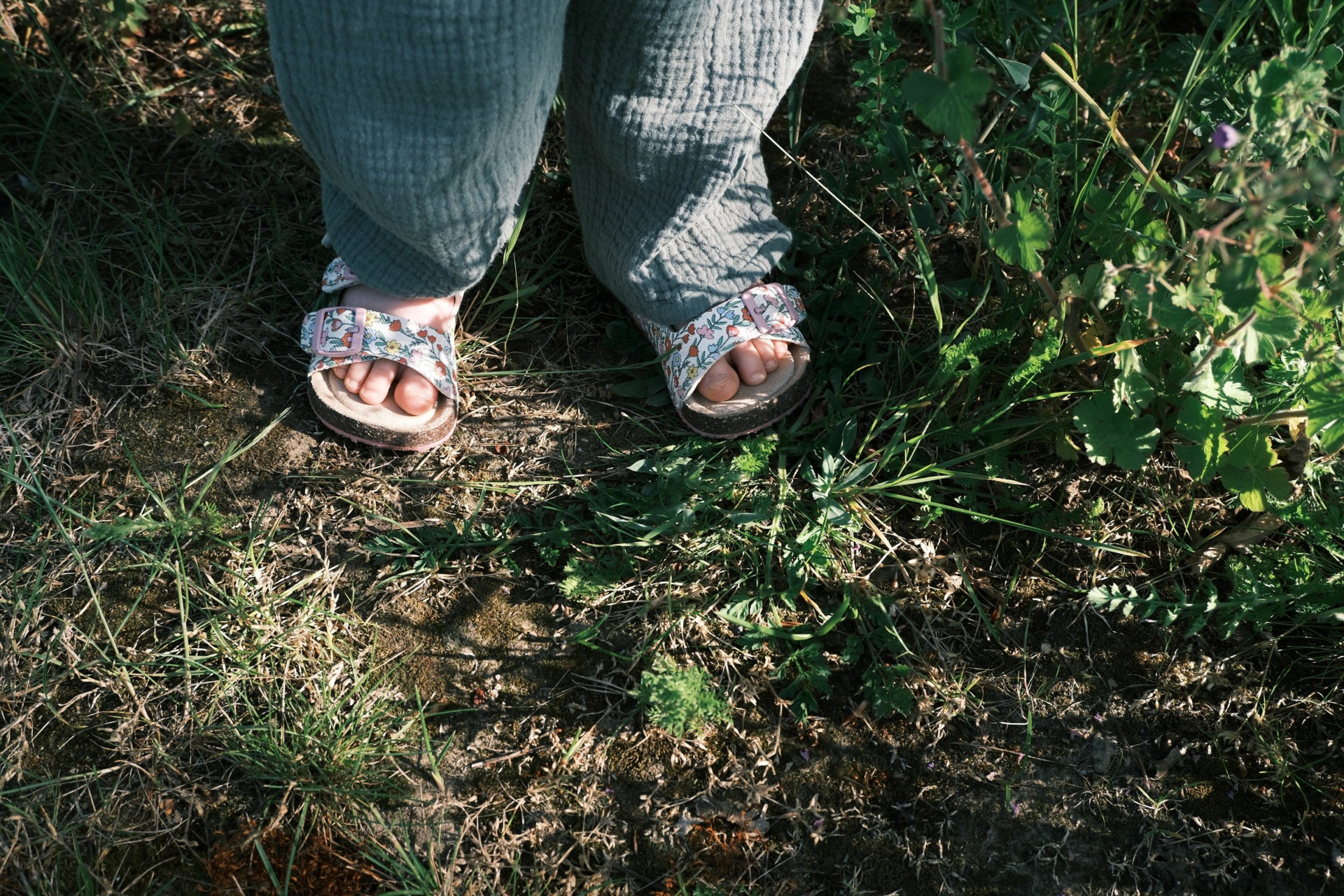 7 Summer Foot Care Tips to Keep You Moving Well